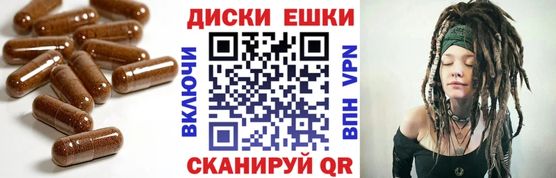 Ecstasy Punisher  Краснознаменск 