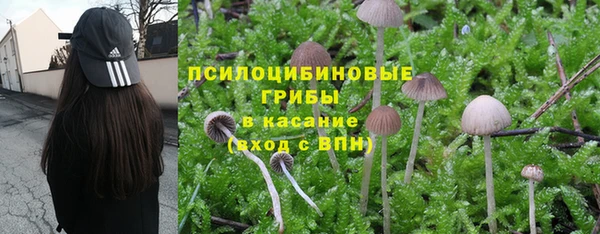 mix Алексеевка