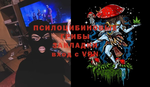 спиды Алзамай